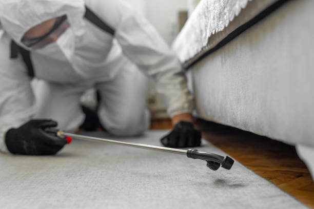 Professional Bed Bug Control technician working in Fairview Heights, IL
